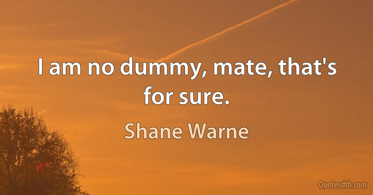 I am no dummy, mate, that's for sure. (Shane Warne)