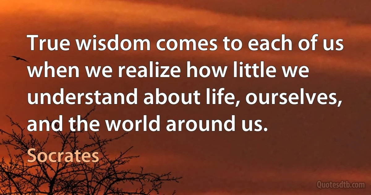 True wisdom comes to each of us when we realize how little we understand about life, ourselves, and the world around us. (Socrates)