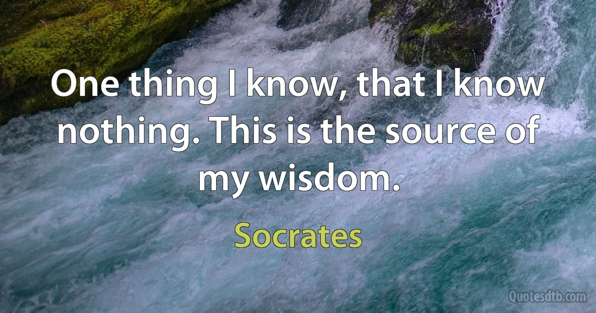 One thing I know, that I know nothing. This is the source of my wisdom. (Socrates)