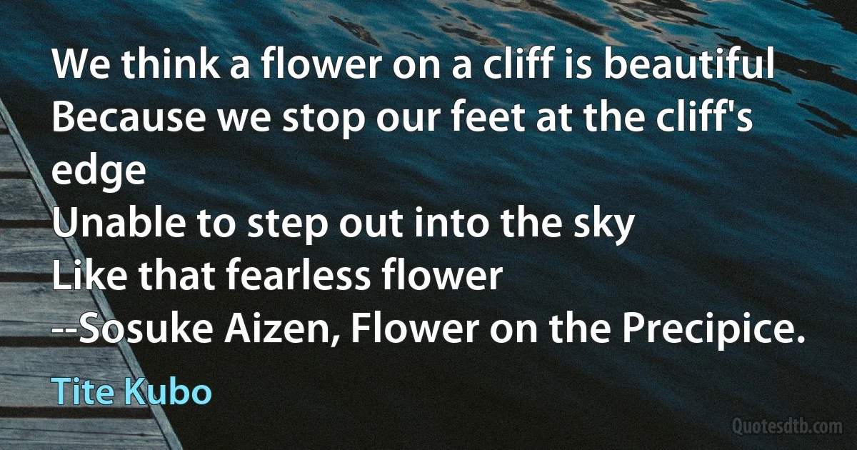 We think a flower on a cliff is beautiful
Because we stop our feet at the cliff's edge
Unable to step out into the sky
Like that fearless flower
--Sosuke Aizen, Flower on the Precipice. (Tite Kubo)