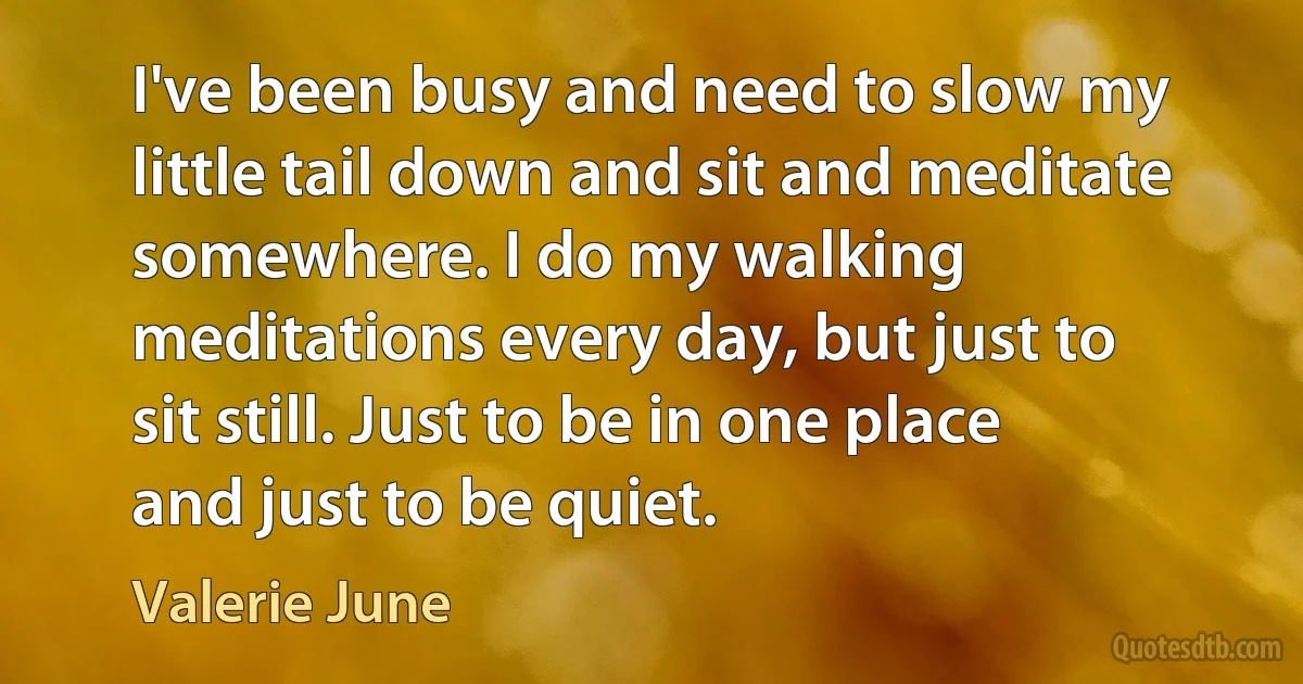 I've been busy and need to slow my little tail down and sit and meditate somewhere. I do my walking meditations every day, but just to sit still. Just to be in one place and just to be quiet. (Valerie June)