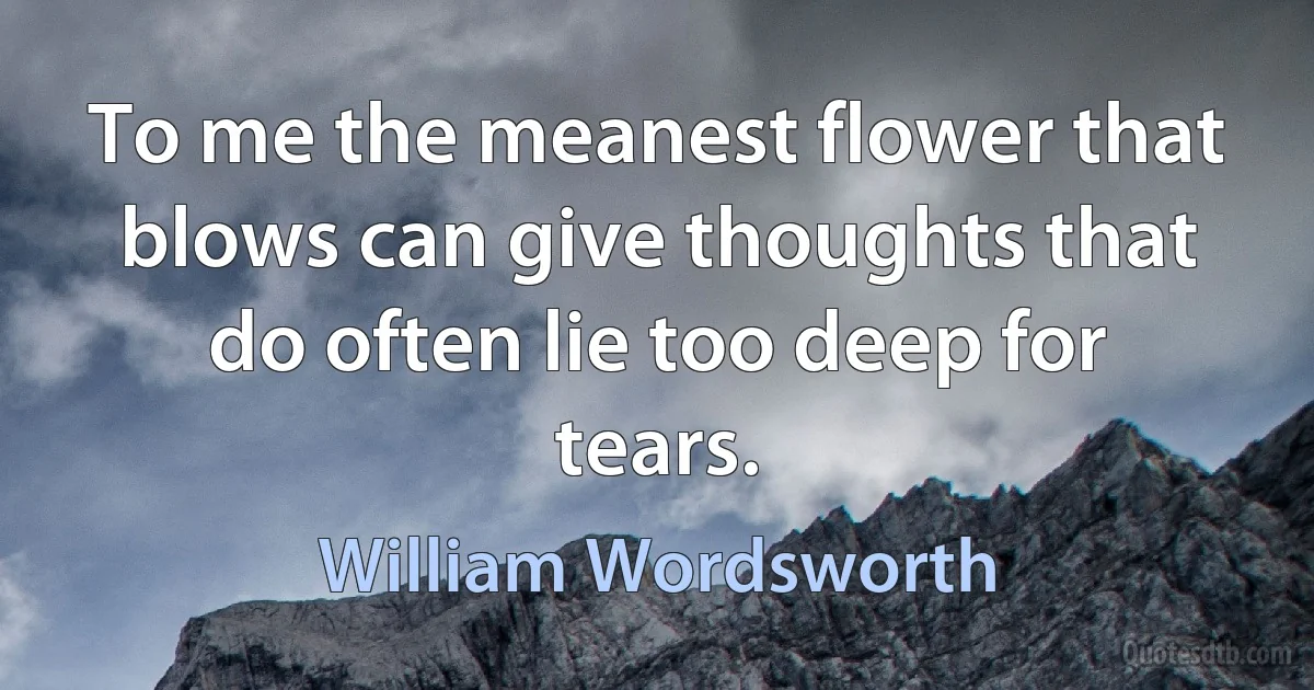 To me the meanest flower that blows can give thoughts that do often lie too deep for tears. (William Wordsworth)