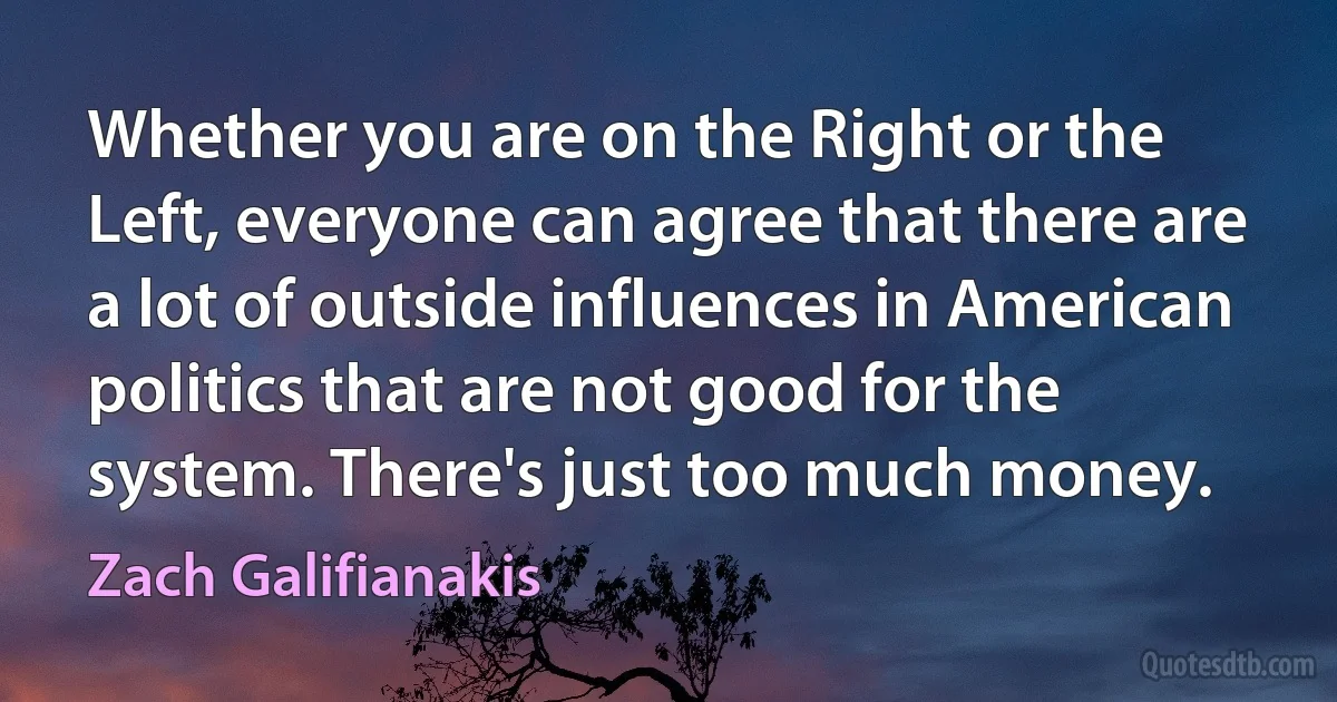 Whether you are on the Right or the Left, everyone can agree that there are a lot of outside influences in American politics that are not good for the system. There's just too much money. (Zach Galifianakis)