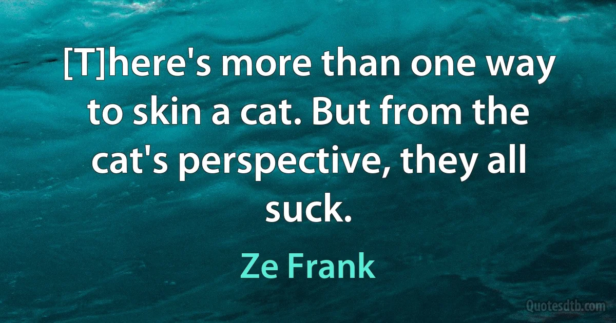 [T]here's more than one way to skin a cat. But from the cat's perspective, they all suck. (Ze Frank)