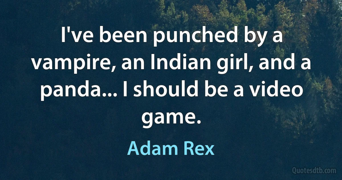 I've been punched by a vampire, an Indian girl, and a panda... I should be a video game. (Adam Rex)