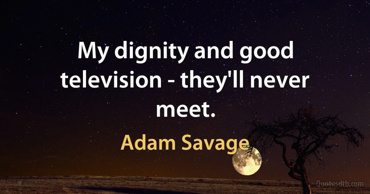 My dignity and good television - they'll never meet. (Adam Savage)