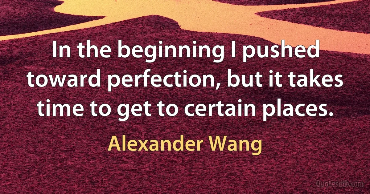 In the beginning I pushed toward perfection, but it takes time to get to certain places. (Alexander Wang)