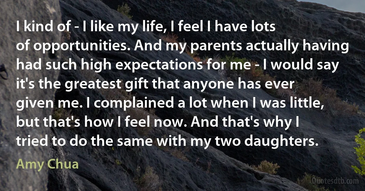 I kind of - I like my life, I feel I have lots of opportunities. And my parents actually having had such high expectations for me - I would say it's the greatest gift that anyone has ever given me. I complained a lot when I was little, but that's how I feel now. And that's why I tried to do the same with my two daughters. (Amy Chua)