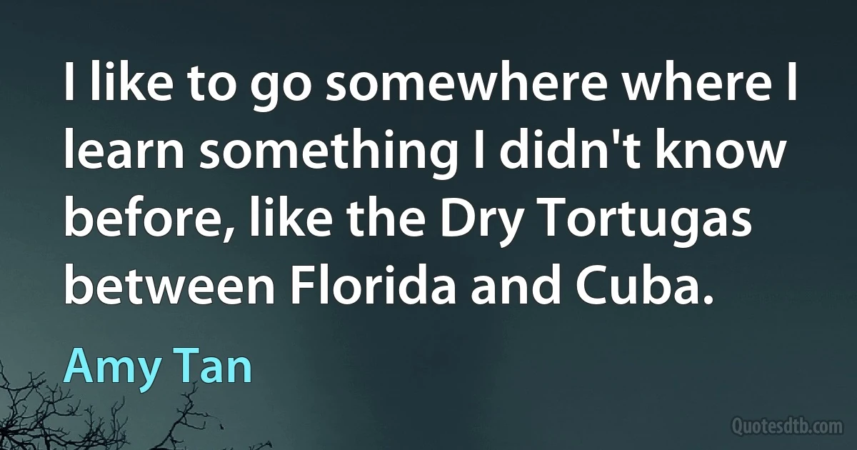 I like to go somewhere where I learn something I didn't know before, like the Dry Tortugas between Florida and Cuba. (Amy Tan)