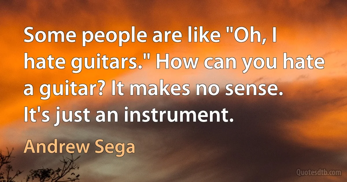 Some people are like "Oh, I hate guitars." How can you hate a guitar? It makes no sense. It's just an instrument. (Andrew Sega)