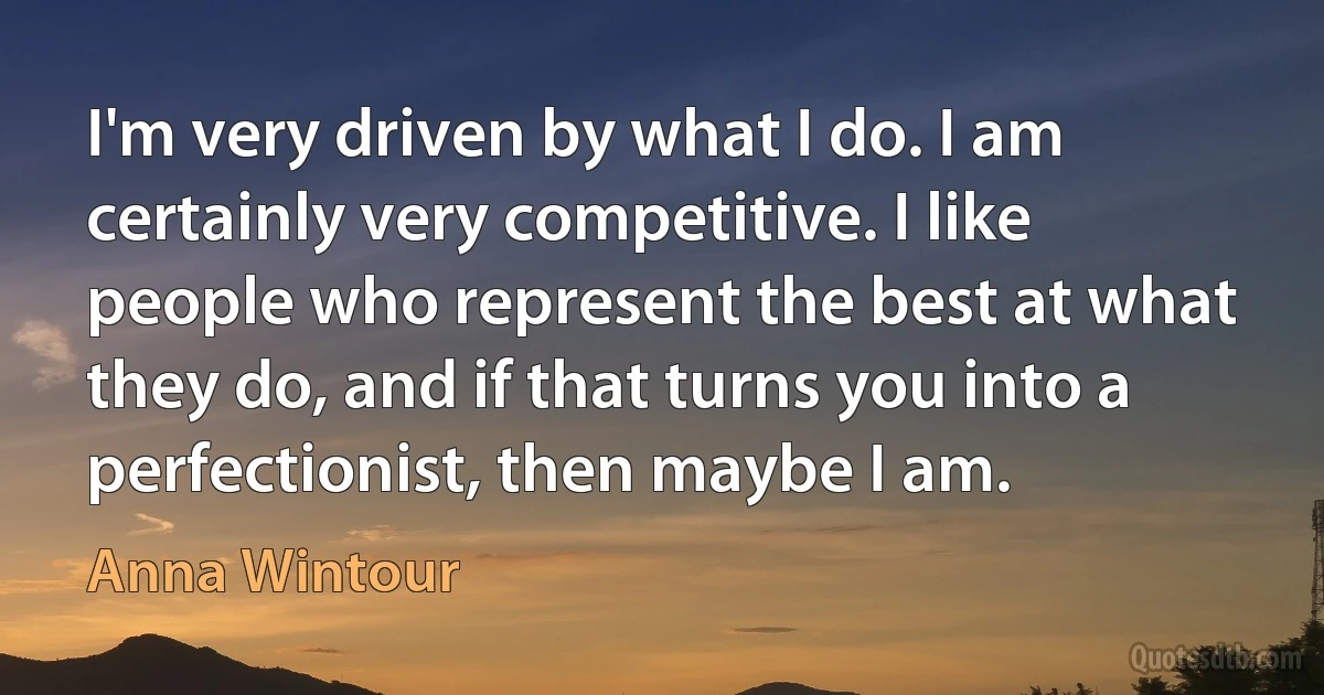 I'm very driven by what I do. I am certainly very competitive. I like people who represent the best at what they do, and if that turns you into a perfectionist, then maybe I am. (Anna Wintour)