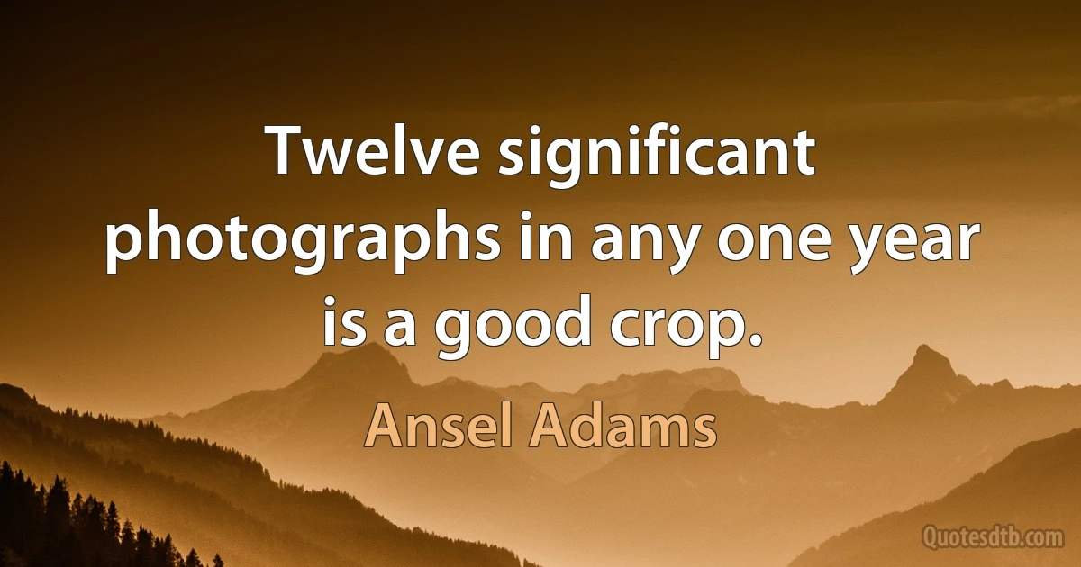 Twelve significant photographs in any one year is a good crop. (Ansel Adams)