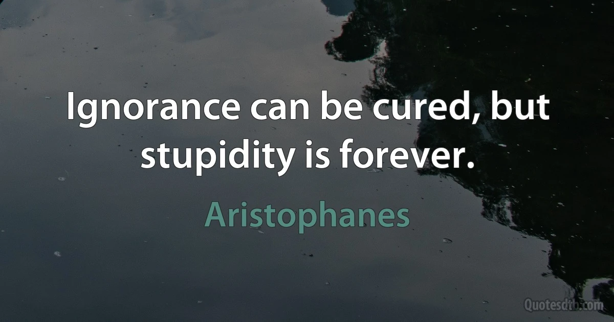 Ignorance can be cured, but stupidity is forever. (Aristophanes)