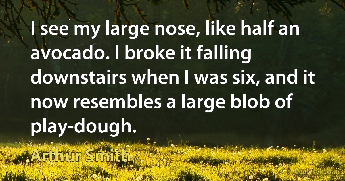 I see my large nose, like half an avocado. I broke it falling downstairs when I was six, and it now resembles a large blob of play-dough. (Arthur Smith)