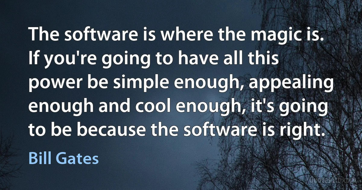 The software is where the magic is. If you're going to have all this power be simple enough, appealing enough and cool enough, it's going to be because the software is right. (Bill Gates)