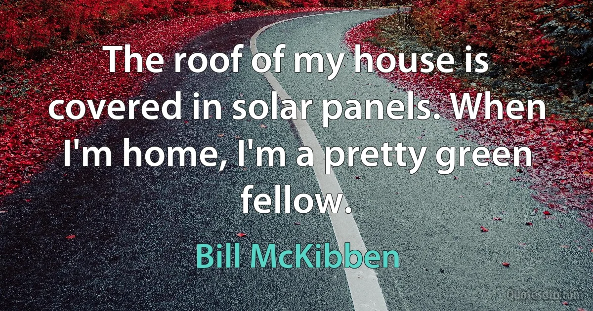 The roof of my house is covered in solar panels. When I'm home, I'm a pretty green fellow. (Bill McKibben)