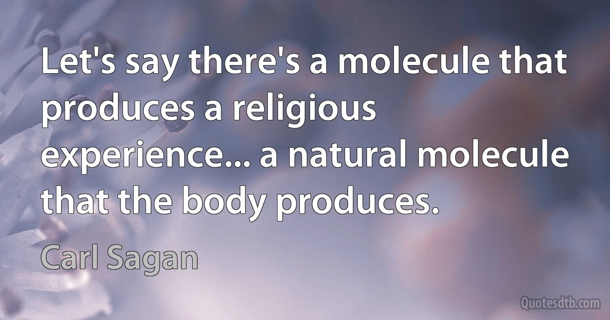 Let's say there's a molecule that produces a religious experience... a natural molecule that the body produces. (Carl Sagan)