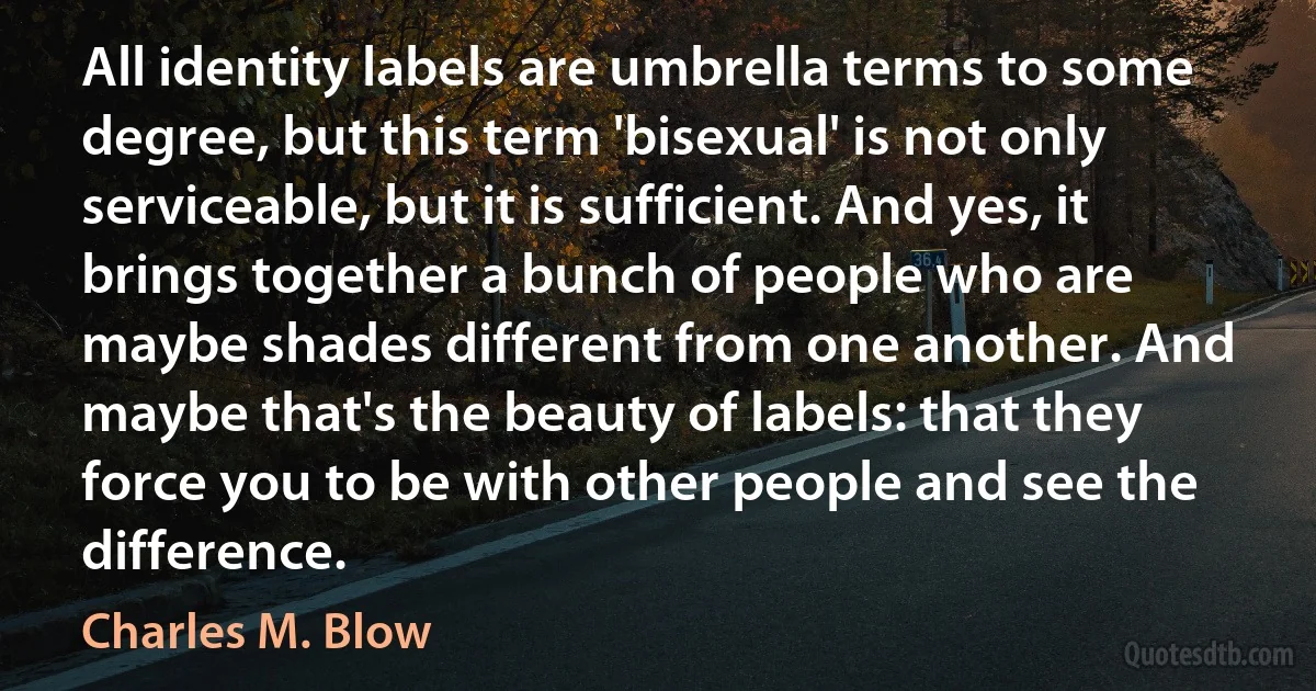 All identity labels are umbrella terms to some degree, but this term 'bisexual' is not only serviceable, but it is sufficient. And yes, it brings together a bunch of people who are maybe shades different from one another. And maybe that's the beauty of labels: that they force you to be with other people and see the difference. (Charles M. Blow)