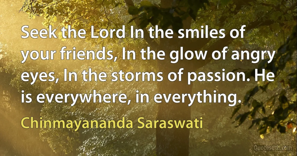 Seek the Lord In the smiles of your friends, In the glow of angry eyes, In the storms of passion. He is everywhere, in everything. (Chinmayananda Saraswati)