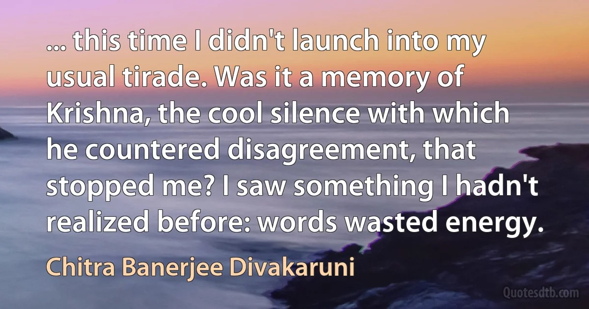 ... this time I didn't launch into my usual tirade. Was it a memory of Krishna, the cool silence with which he countered disagreement, that stopped me? I saw something I hadn't realized before: words wasted energy. (Chitra Banerjee Divakaruni)