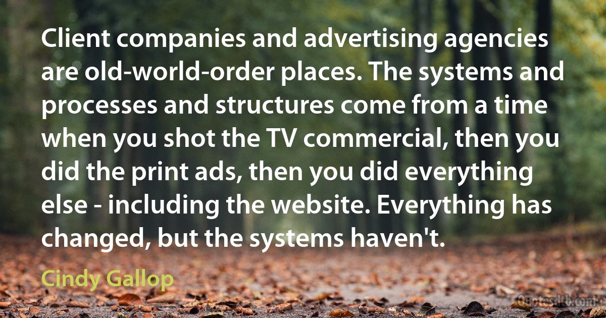 Client companies and advertising agencies are old-world-order places. The systems and processes and structures come from a time when you shot the TV commercial, then you did the print ads, then you did everything else - including the website. Everything has changed, but the systems haven't. (Cindy Gallop)