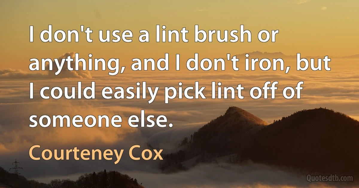 I don't use a lint brush or anything, and I don't iron, but I could easily pick lint off of someone else. (Courteney Cox)