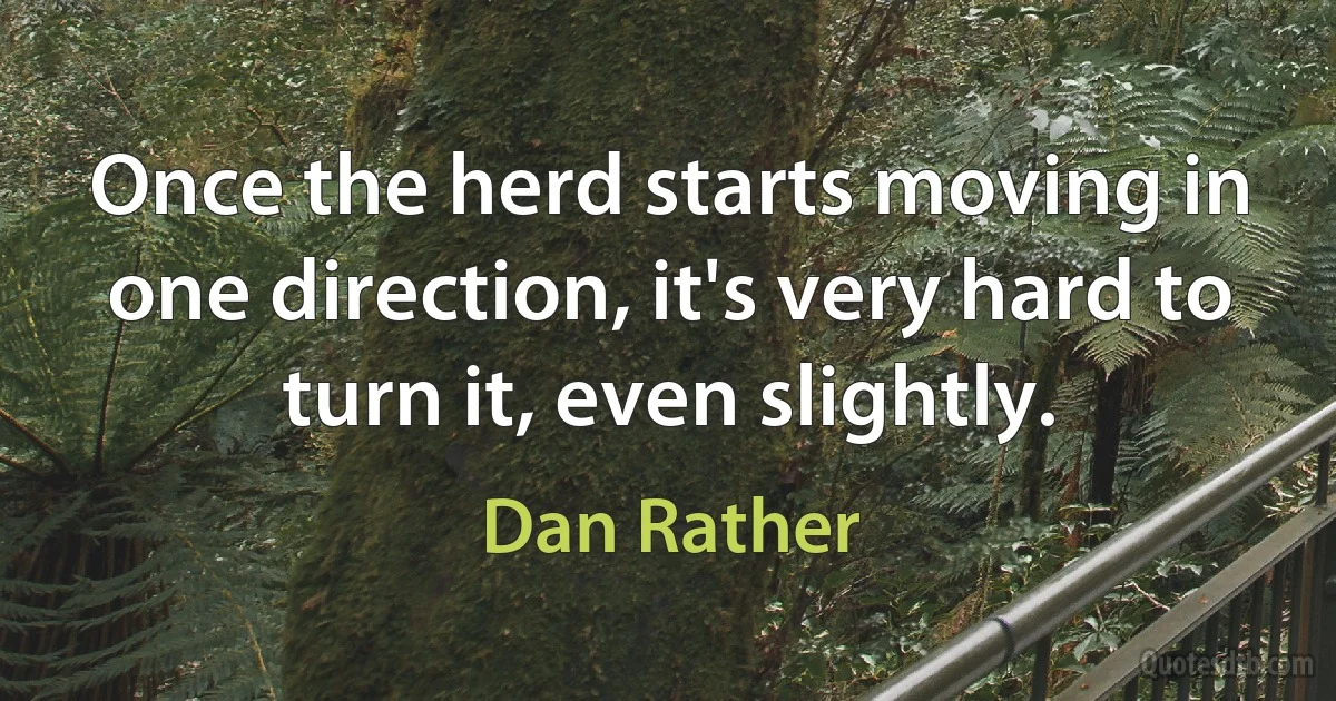 Once the herd starts moving in one direction, it's very hard to turn it, even slightly. (Dan Rather)