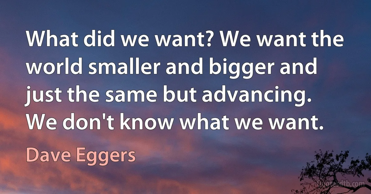 What did we want? We want the world smaller and bigger and just the same but advancing. We don't know what we want. (Dave Eggers)