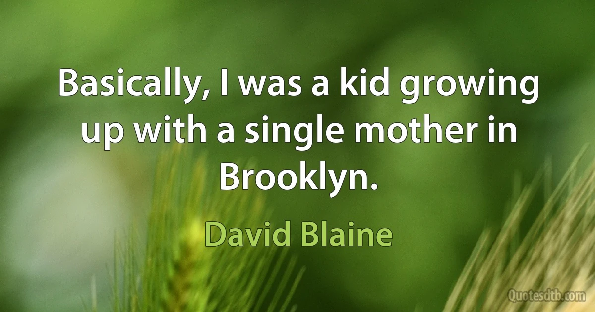 Basically, I was a kid growing up with a single mother in Brooklyn. (David Blaine)