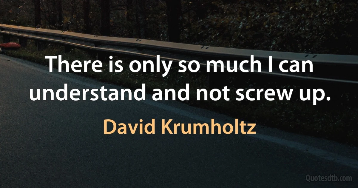 There is only so much I can understand and not screw up. (David Krumholtz)