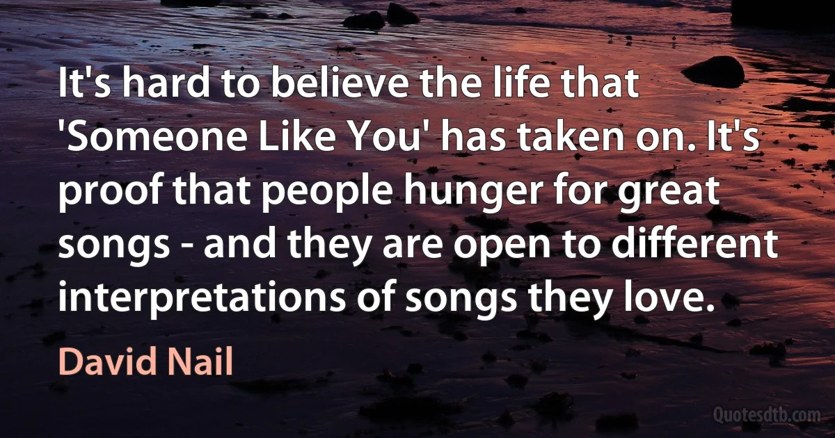 It's hard to believe the life that 'Someone Like You' has taken on. It's proof that people hunger for great songs - and they are open to different interpretations of songs they love. (David Nail)