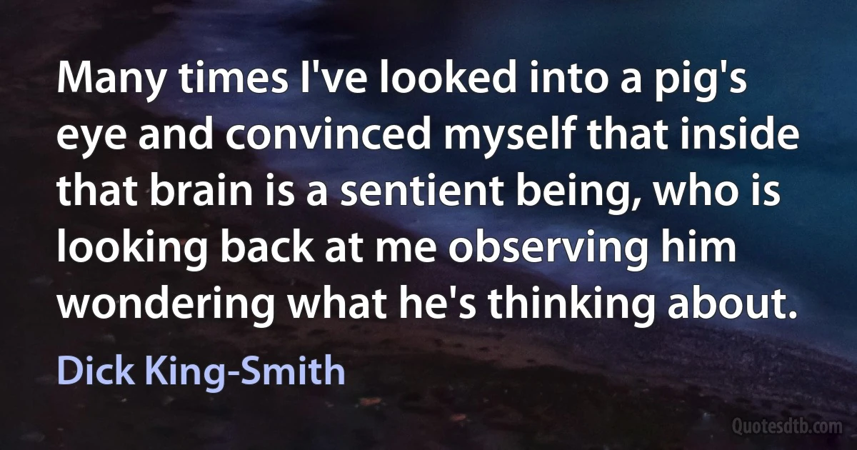 Many times I've looked into a pig's eye and convinced myself that inside that brain is a sentient being, who is looking back at me observing him wondering what he's thinking about. (Dick King-Smith)