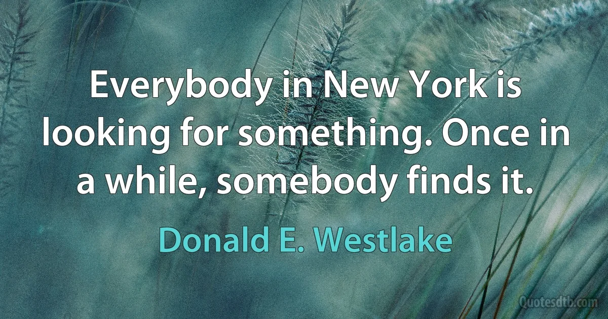 Everybody in New York is looking for something. Once in a while, somebody finds it. (Donald E. Westlake)