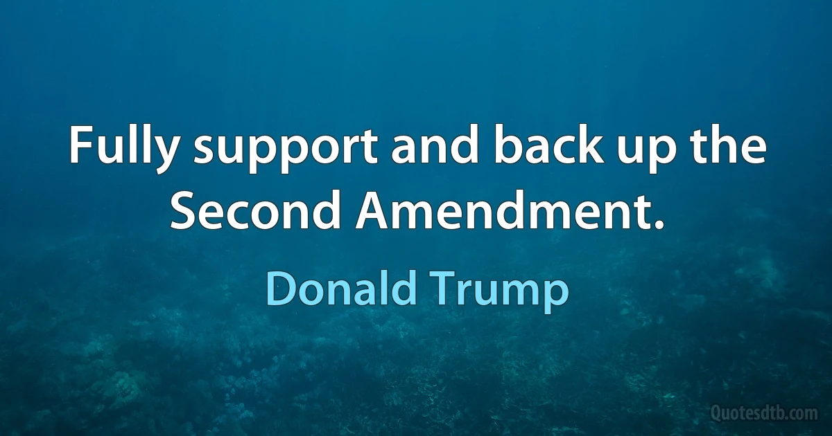 Fully support and back up the Second Amendment. (Donald Trump)