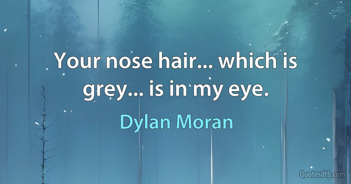 Your nose hair... which is grey... is in my eye. (Dylan Moran)