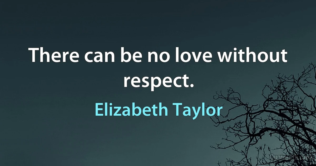 There can be no love without respect. (Elizabeth Taylor)