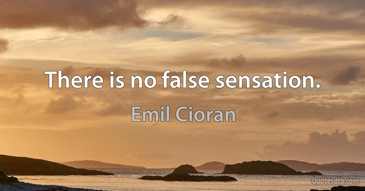 There is no false sensation. (Emil Cioran)