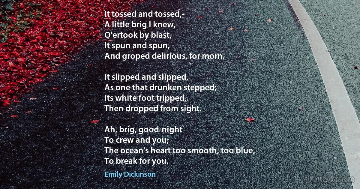 It tossed and tossed,-
A little brig I knew,-
O'ertook by blast,
It spun and spun,
And groped delirious, for morn.

It slipped and slipped,
As one that drunken stepped;
Its white foot tripped,
Then dropped from sight.

Ah, brig, good-night
To crew and you;
The ocean's heart too smooth, too blue,
To break for you. (Emily Dickinson)