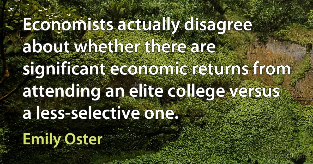 Economists actually disagree about whether there are significant economic returns from attending an elite college versus a less-selective one. (Emily Oster)