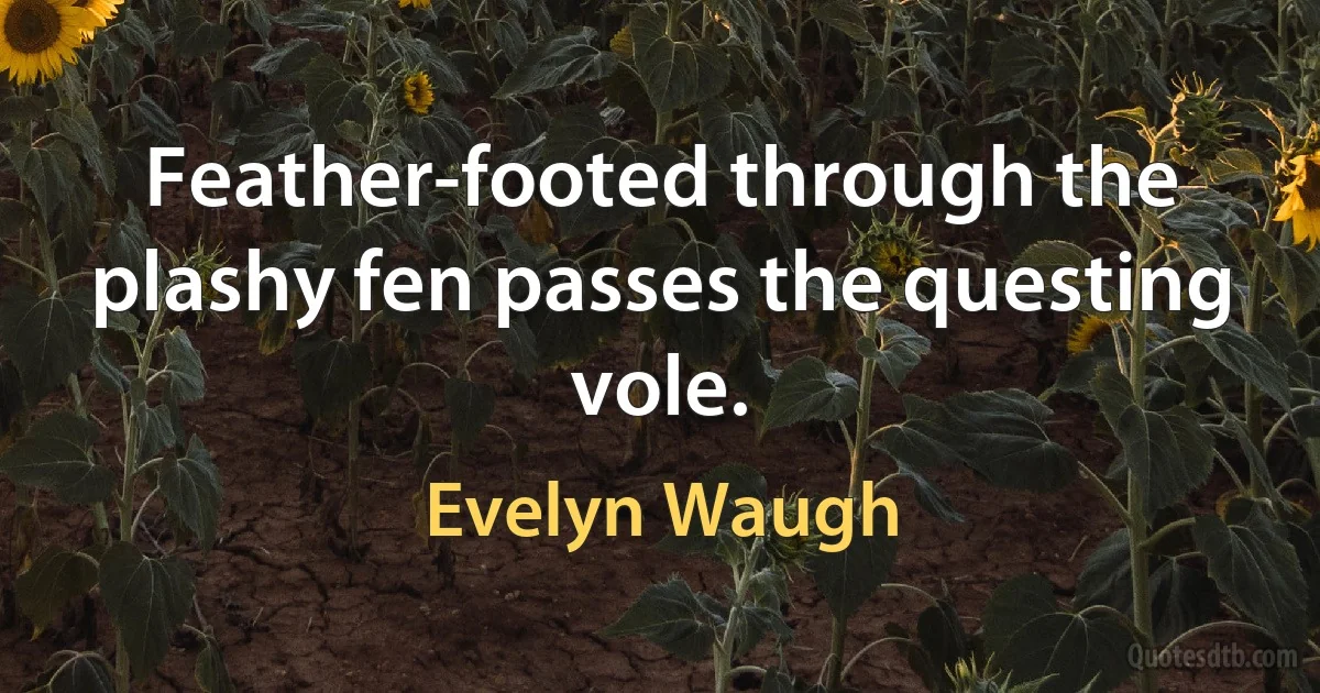 Feather-footed through the plashy fen passes the questing vole. (Evelyn Waugh)