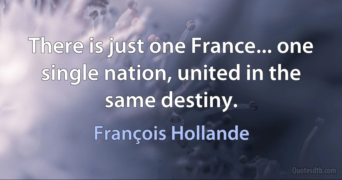 There is just one France... one single nation, united in the same destiny. (François Hollande)