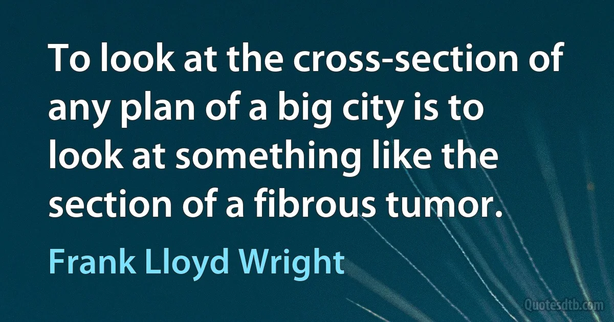 To look at the cross-section of any plan of a big city is to look at something like the section of a fibrous tumor. (Frank Lloyd Wright)