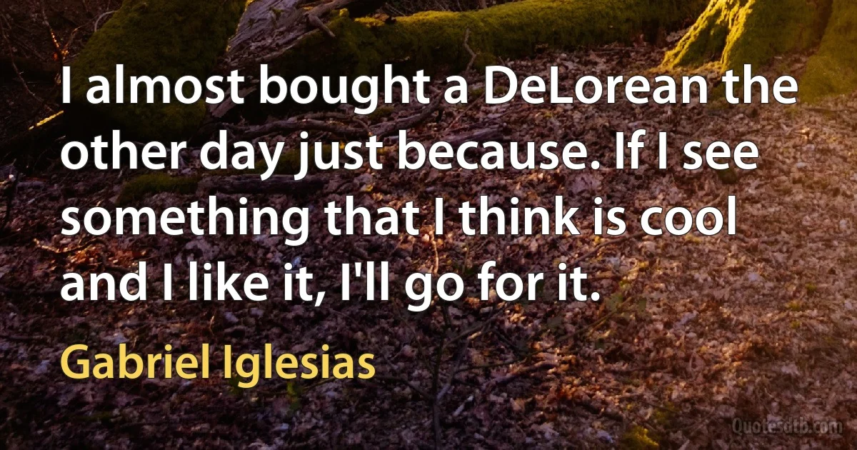 I almost bought a DeLorean the other day just because. If I see something that I think is cool and I like it, I'll go for it. (Gabriel Iglesias)