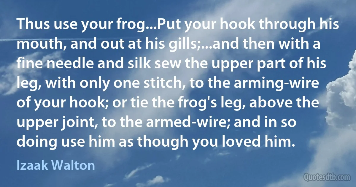 Thus use your frog...Put your hook through his mouth, and out at his gills;...and then with a fine needle and silk sew the upper part of his leg, with only one stitch, to the arming-wire of your hook; or tie the frog's leg, above the upper joint, to the armed-wire; and in so doing use him as though you loved him. (Izaak Walton)