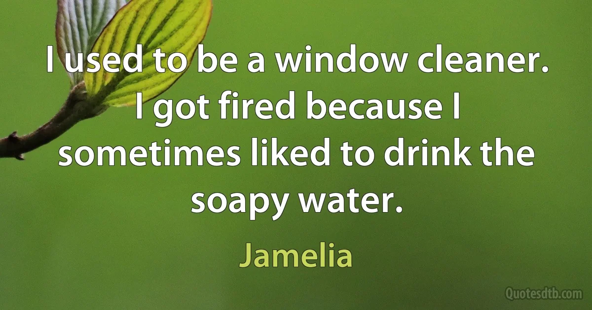 I used to be a window cleaner. I got fired because I sometimes liked to drink the soapy water. (Jamelia)