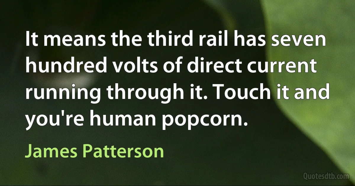 It means the third rail has seven hundred volts of direct current running through it. Touch it and you're human popcorn. (James Patterson)