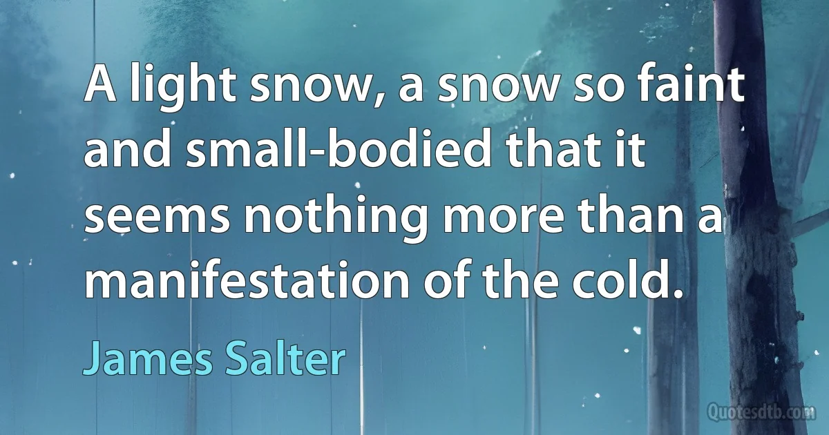 A light snow, a snow so faint and small-bodied that it seems nothing more than a manifestation of the cold. (James Salter)