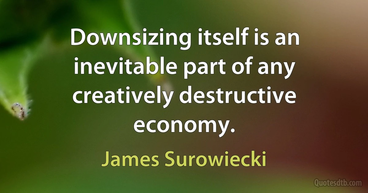 Downsizing itself is an inevitable part of any creatively destructive economy. (James Surowiecki)