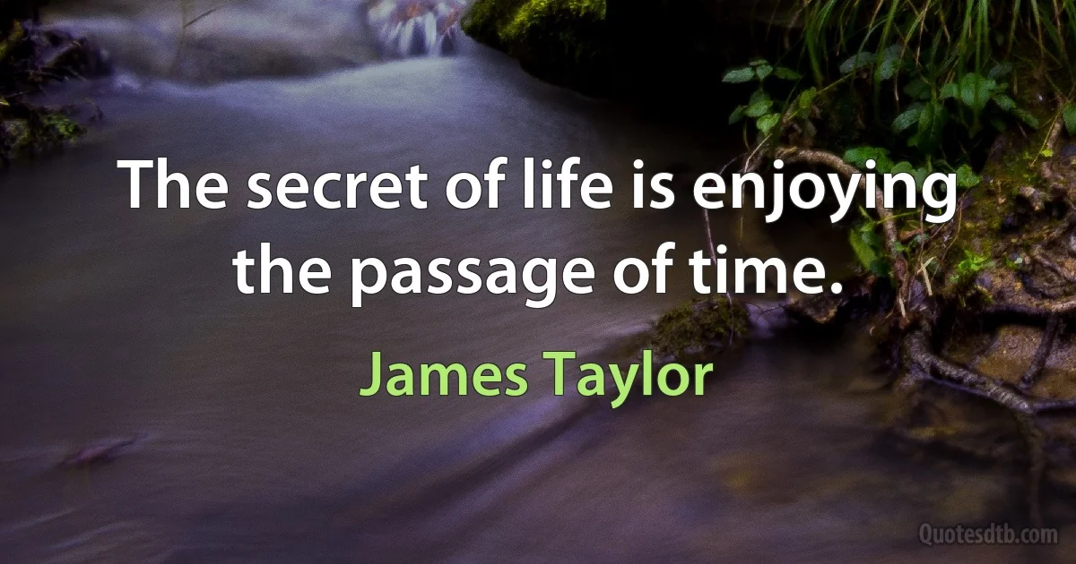 The secret of life is enjoying the passage of time. (James Taylor)