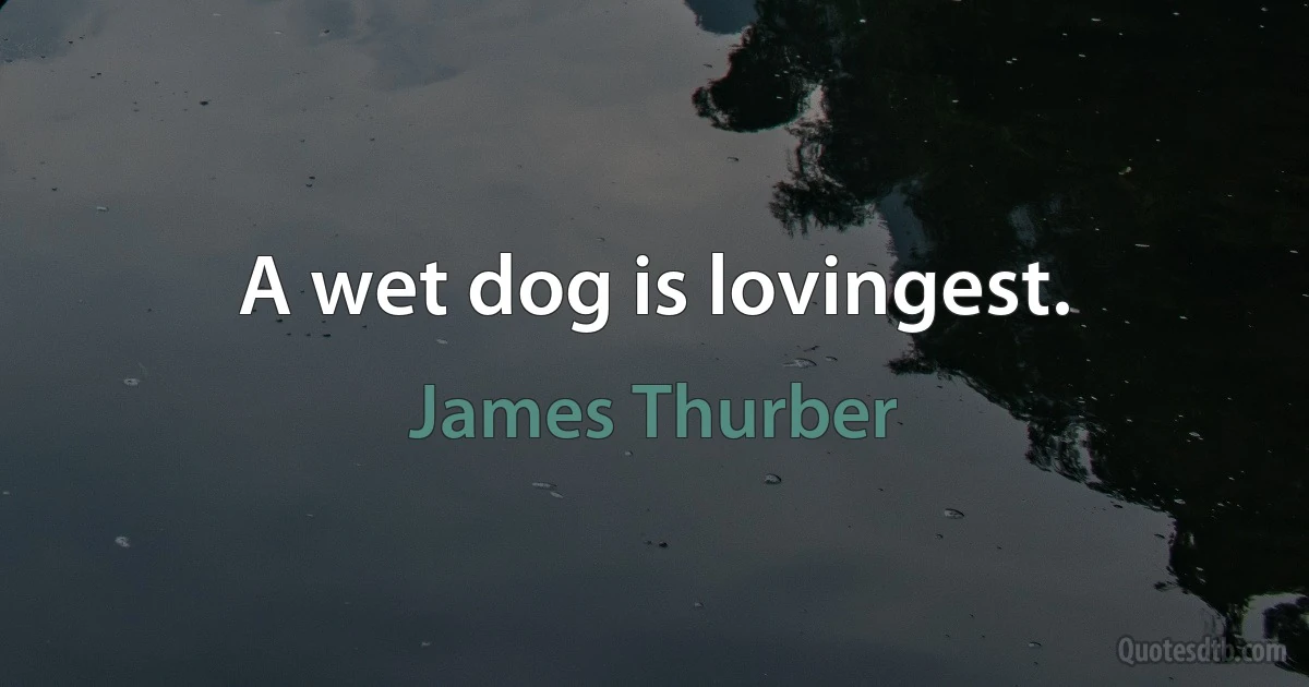 A wet dog is lovingest. (James Thurber)